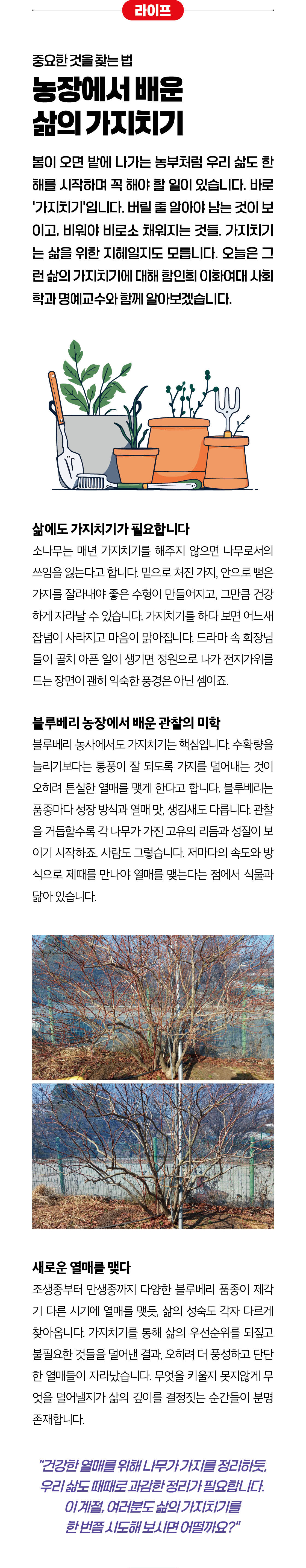이미지1